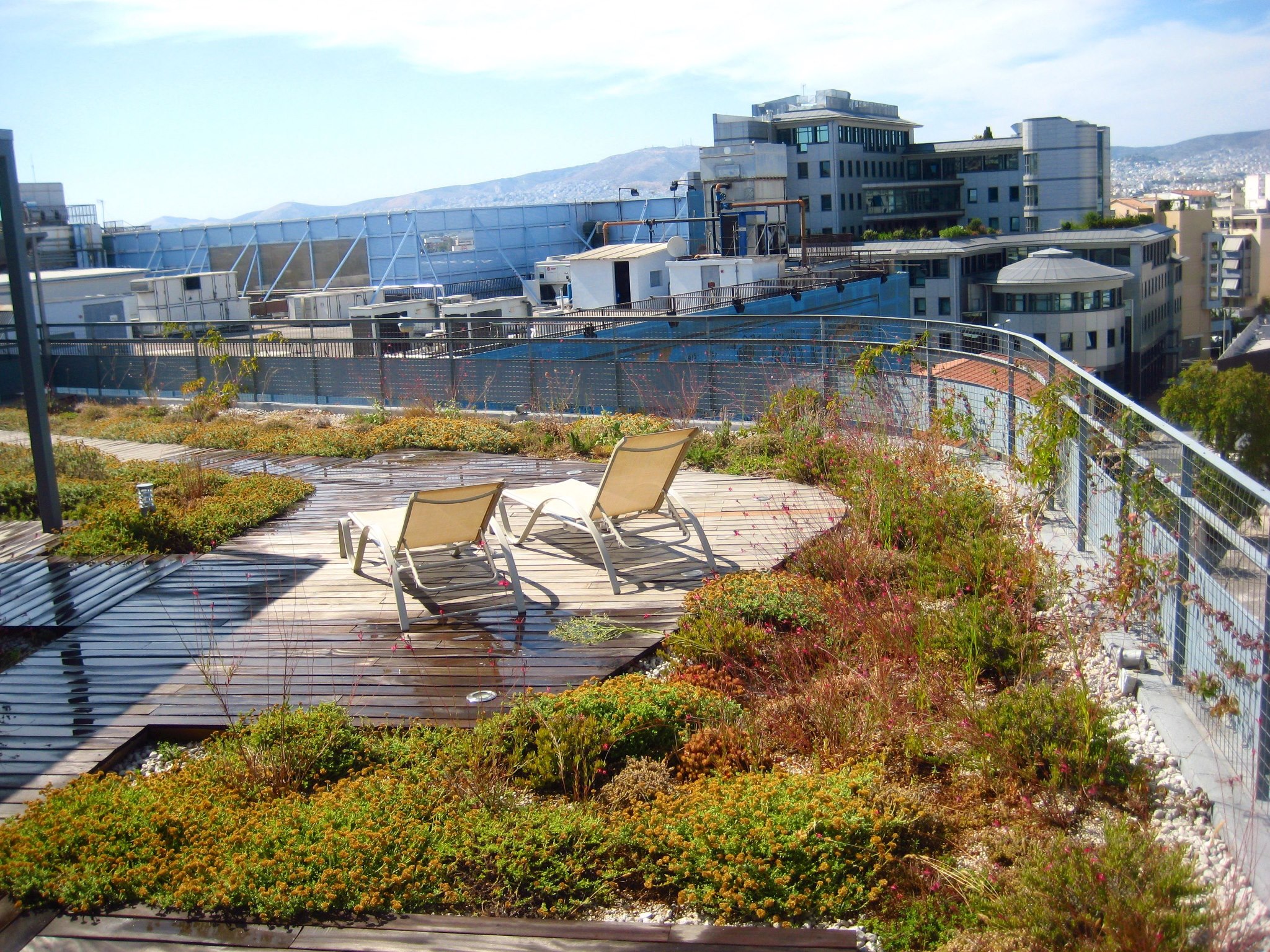 Extensive Greenroof